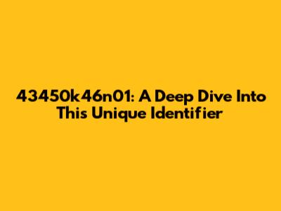 43450k46n01: A Deep Dive Into This Unique Identifier