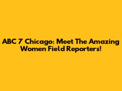 ABC 7 Chicago: Meet The Amazing Women Field Reporters!
