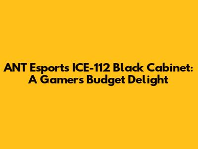ANT Esports ICE-112 Black Cabinet: A Gamer's Budget Delight
