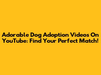 Adorable Dog Adoption Videos On YouTube: Find Your Perfect Match!