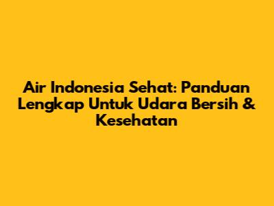 Air Indonesia Sehat: Panduan Lengkap Untuk Udara Bersih & Kesehatan