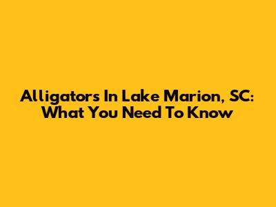 Alligators In Lake Marion, SC: What You Need To Know