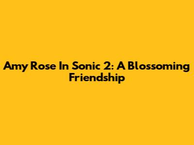 Amy Rose In Sonic 2: A Blossoming Friendship