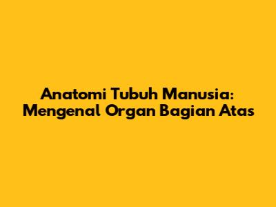 Anatomi Tubuh Manusia: Mengenal Organ Bagian Atas