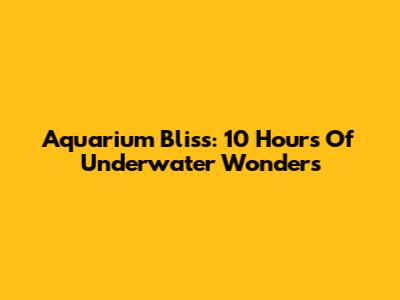 Aquarium Bliss: 10 Hours Of Underwater Wonders