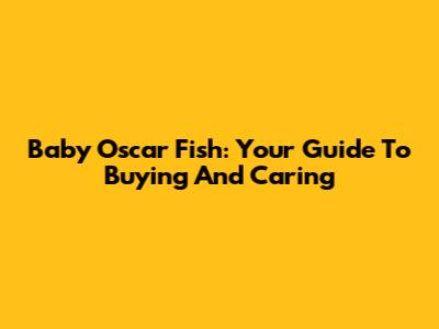 Baby Oscar Fish: Your Guide To Buying And Caring