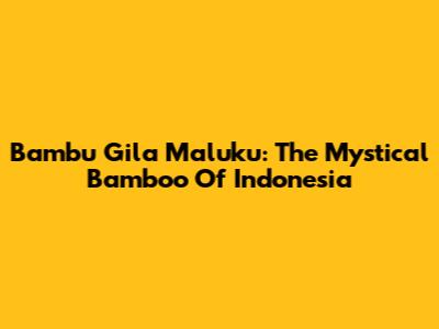 Bambu Gila Maluku: The Mystical Bamboo Of Indonesia