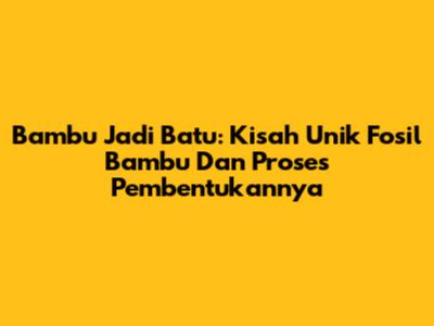 Bambu Jadi Batu: Kisah Unik Fosil Bambu Dan Proses Pembentukannya