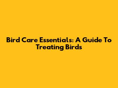 Bird Care Essentials: A Guide To Treating Birds