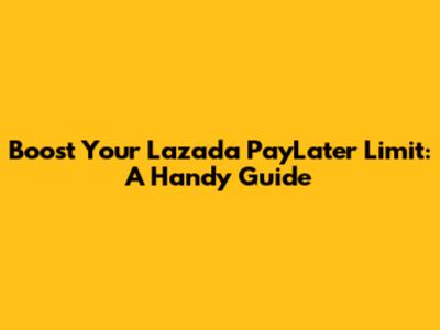 Boost Your Lazada PayLater Limit: A Handy Guide