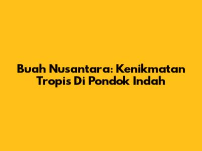Buah Nusantara: Kenikmatan Tropis Di Pondok Indah