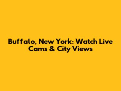 Buffalo, New York: Watch Live Cams & City Views