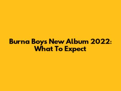 Burna Boy's New Album 2022: What To Expect