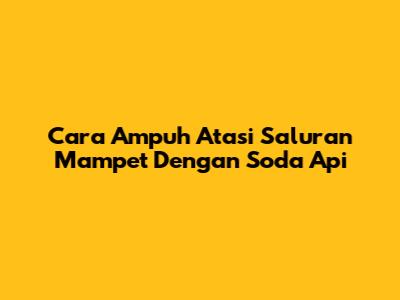 Cara Ampuh Atasi Saluran Mampet Dengan Soda Api