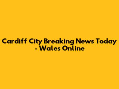Cardiff City Breaking News Today - Wales Online