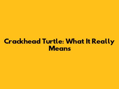 Crackhead Turtle: What It Really Means