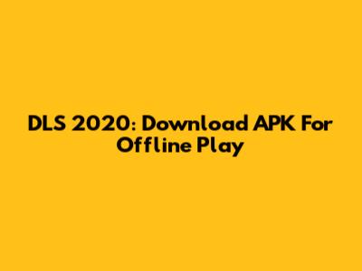 DLS 2020: Download APK For Offline Play