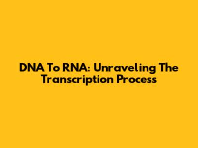 DNA To RNA: Unraveling The Transcription Process