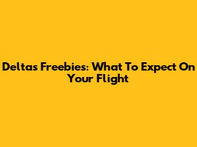 Delta's Freebies: What To Expect On Your Flight