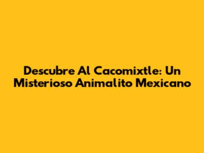Descubre Al Cacomixtle: Un Misterioso Animalito Mexicano