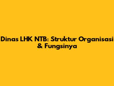 Dinas LHK NTB: Struktur Organisasi & Fungsinya