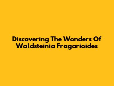 Discovering The Wonders Of Waldsteinia Fragarioides