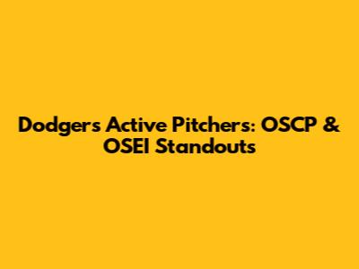 Dodgers' Active Pitchers: OSCP & OSEI Standouts