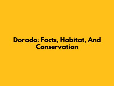 Dorado: Facts, Habitat, And Conservation