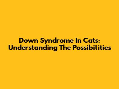 Down Syndrome In Cats: Understanding The Possibilities