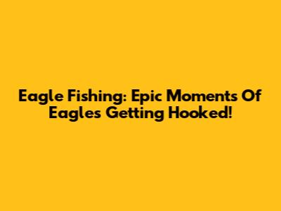Eagle Fishing: Epic Moments Of Eagles Getting Hooked!