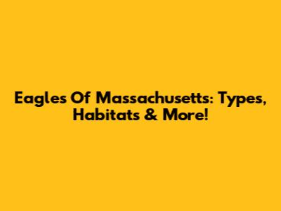 Eagles Of Massachusetts: Types, Habitats & More!