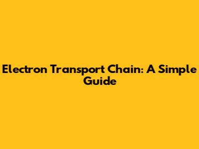 Electron Transport Chain: A Simple Guide
