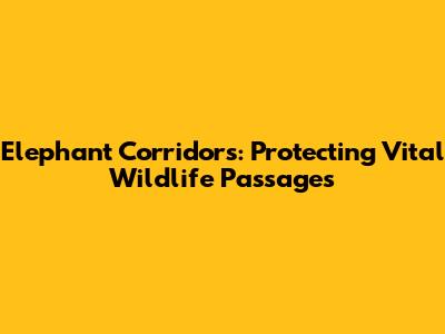 Elephant Corridors: Protecting Vital Wildlife Passages