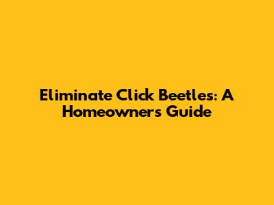 Eliminate Click Beetles: A Homeowner's Guide