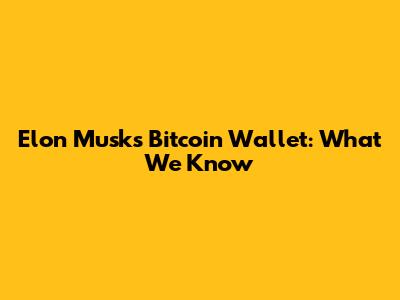 Elon Musk's Bitcoin Wallet: What We Know