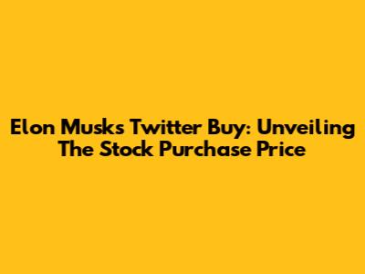 Elon Musk's Twitter Buy: Unveiling The Stock Purchase Price