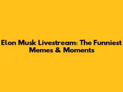 Elon Musk Livestream: The Funniest Memes & Moments