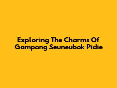 Exploring The Charms Of Gampong Seuneubok Pidie