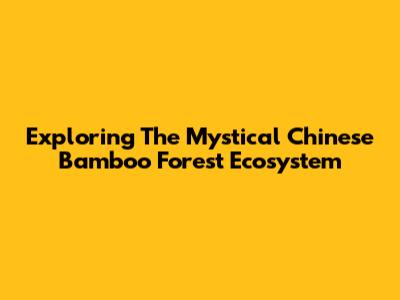 Exploring The Mystical Chinese Bamboo Forest Ecosystem