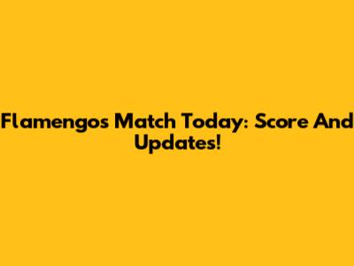 Flamengo's Match Today: Score And Updates!