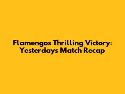 Flamengo's Thrilling Victory: Yesterday's Match Recap