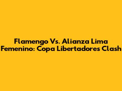 Flamengo Vs. Alianza Lima Femenino: Copa Libertadores Clash