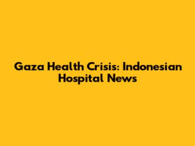 Gaza Health Crisis: Indonesian Hospital News