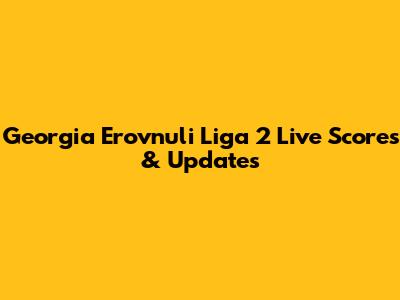 Georgia Erovnuli Liga 2 Live Scores & Updates