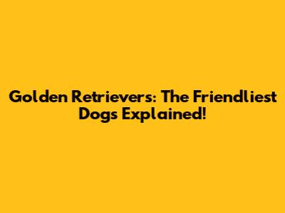 Golden Retrievers: The Friendliest Dogs Explained!