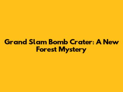 Grand Slam Bomb Crater: A New Forest Mystery