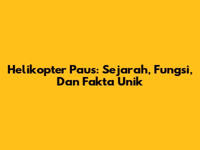 Helikopter Paus: Sejarah, Fungsi, Dan Fakta Unik