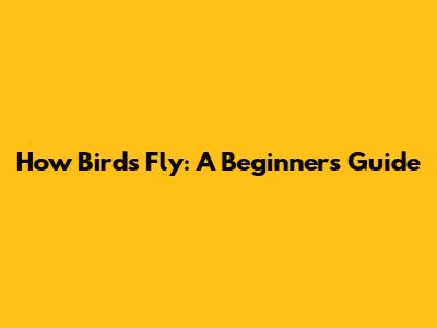 How Birds Fly: A Beginner's Guide