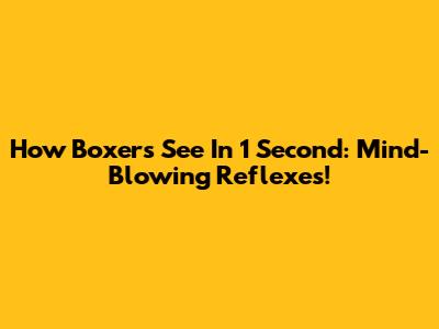 How Boxers See In 1 Second: Mind-Blowing Reflexes!