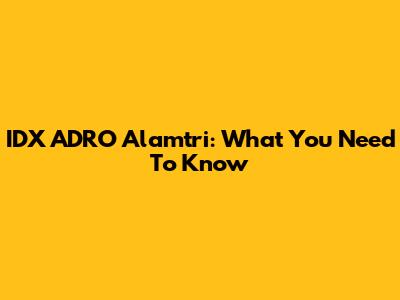 IDX ADRO Alamtri: What You Need To Know